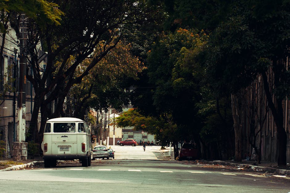 A narrow urban street lined with tall trees and multi-storey residential buildings on both sides. Parked along the pavement are several vehicles, including a vintage white van positioned at the front left, likely used for home relocation or furniture transport, with its rear doors closed. Behind it, a small silver car is parked with some distance from the curb. The street surface appears clean with some fallen leaves, and the lighting indicates daytime with natural light filtering through the dense foliage overhead. In the background, the street extends into the distance showing more parked cars and a few pedestrians walking. The surrounding environment suggests a typical setting for loading and unloading during home removals, with ample space for manoeuvring furniture and boxes. Man and Van Wembley occasionally handle such loading processes, especially when navigating narrow access and parking constraints as described in the page titled 'Ealing Road man and van tips for narrow access and parking, WEMBLEY' at https://manandvanwembley.org.uk.